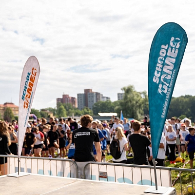 6/12    Grafika muších křídel